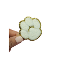 Paw Print ~ White Chenille Patch